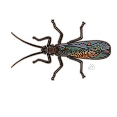 CASEY UNDERWOOD SALMONFLY SCAPE STICKER