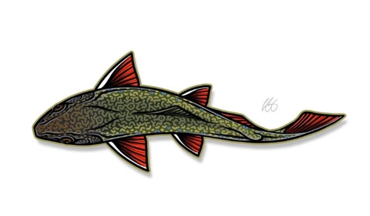 CASEY UNDERWOOD SWIMMING BROOK STICKER