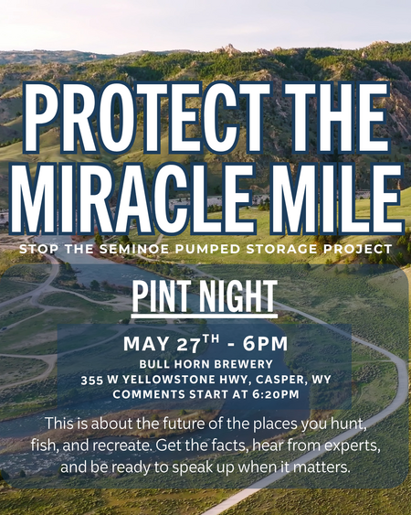 Protect the Miracle Mile - Pint Night