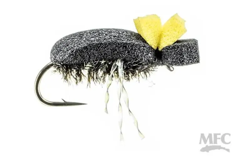 Rio FOAM BEETLE