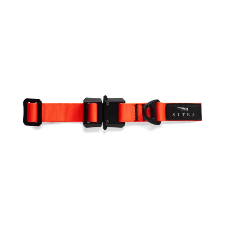 SITKA SITKA DOG COLLAR BLAZE ORANGE