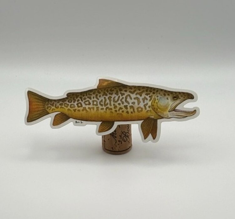 OLIVIA MAE DESIGNS TIGER TROUT STICKER