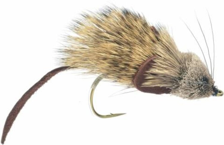 NORTH COUNTRY FLIES MOUSE RAT