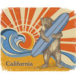 Kids Sun & Surf Bear Zip Hoodie