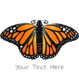 SF Mercantile Monarch Butterfly  Custom Onesie