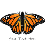 SF Mercantile Monarch Butterfly Custom Unisex Tee