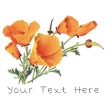 SF Mercantile Vintage Poppies Custom Flour Sack Towel