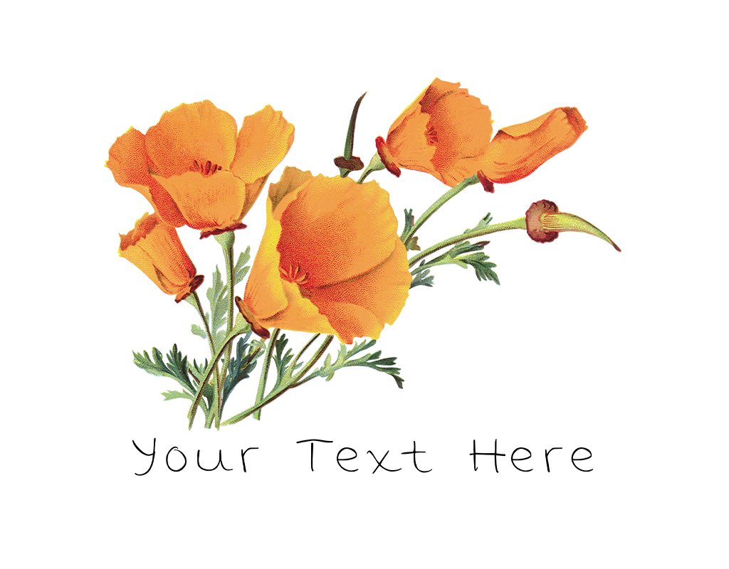 SF Mercantile Vintage Poppies Custom Flour Sack Towel