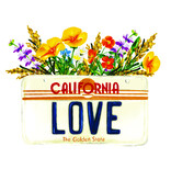 CA Love License Plate Kids Tee, Cream