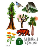 California Collage Book Bag