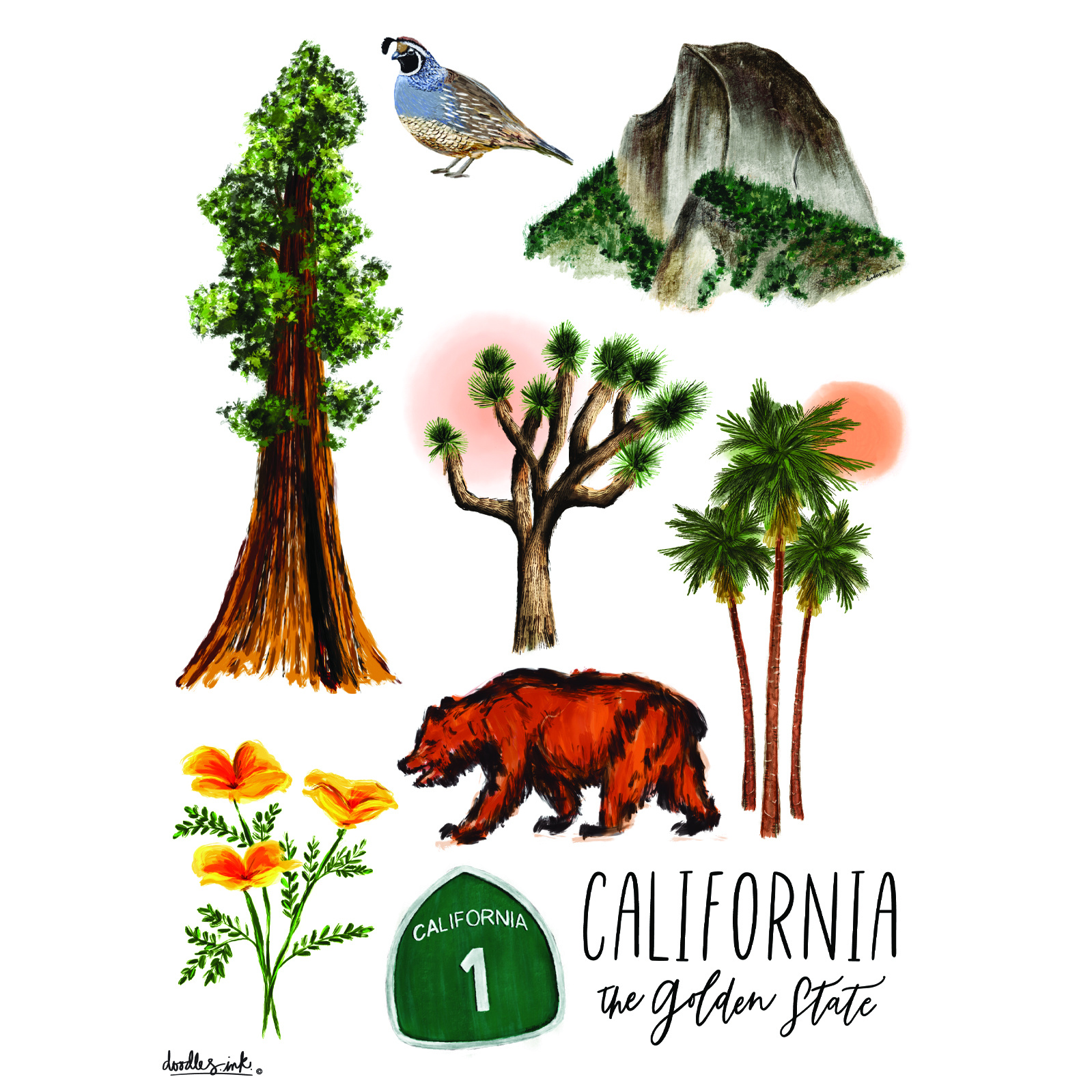 California Collage Book Bag