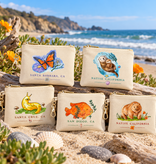 Native California Coin Purse