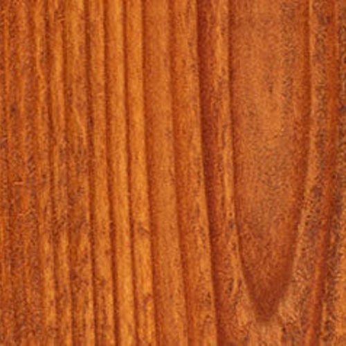 Wood Defender Transparent Fence Stain (5 gal)