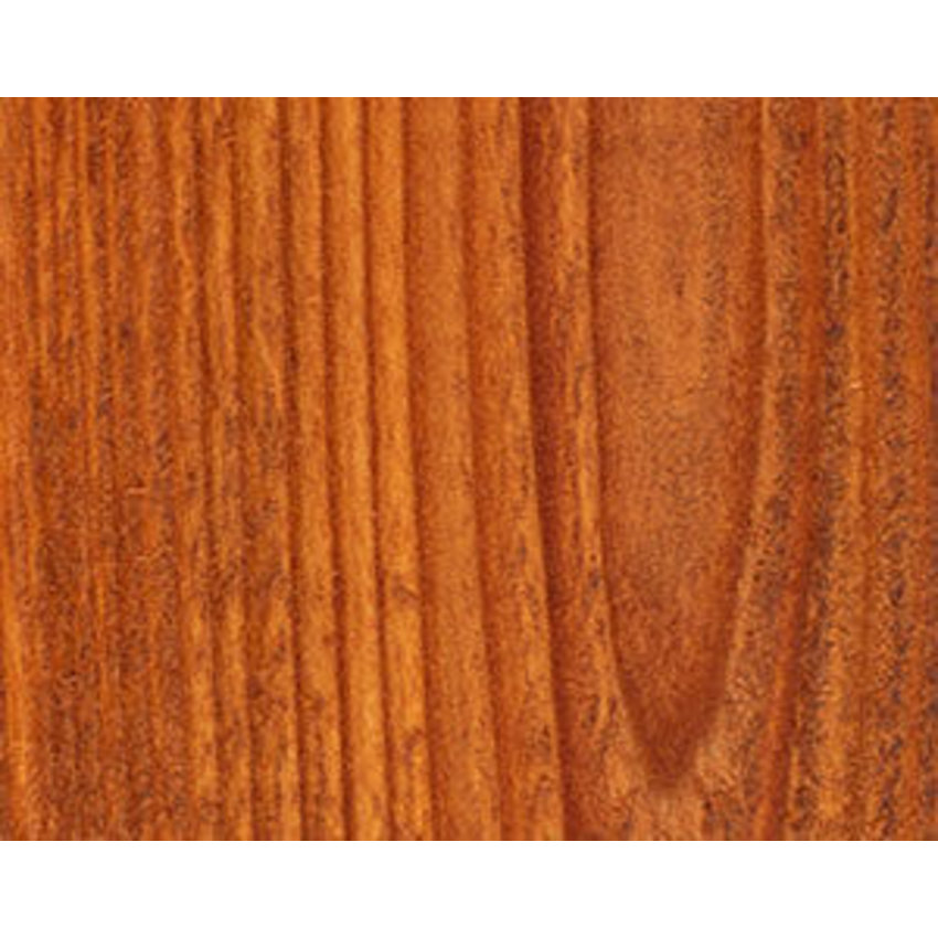 Wood Defender Transparent Fence Stain (5 gal)