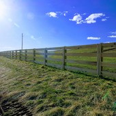 5/4 x 6 in. x 16 ft Poplar Treated Fence Board