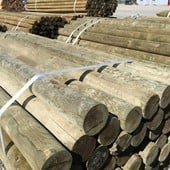 ACQ TREATED FENCE POSTS - BLUNT