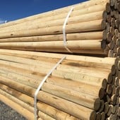 PEELED UNTREATED FENCE RAILS/ CORRAL POLES