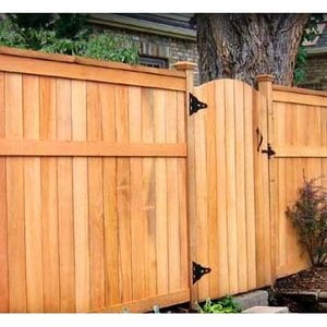 Cedar Fence