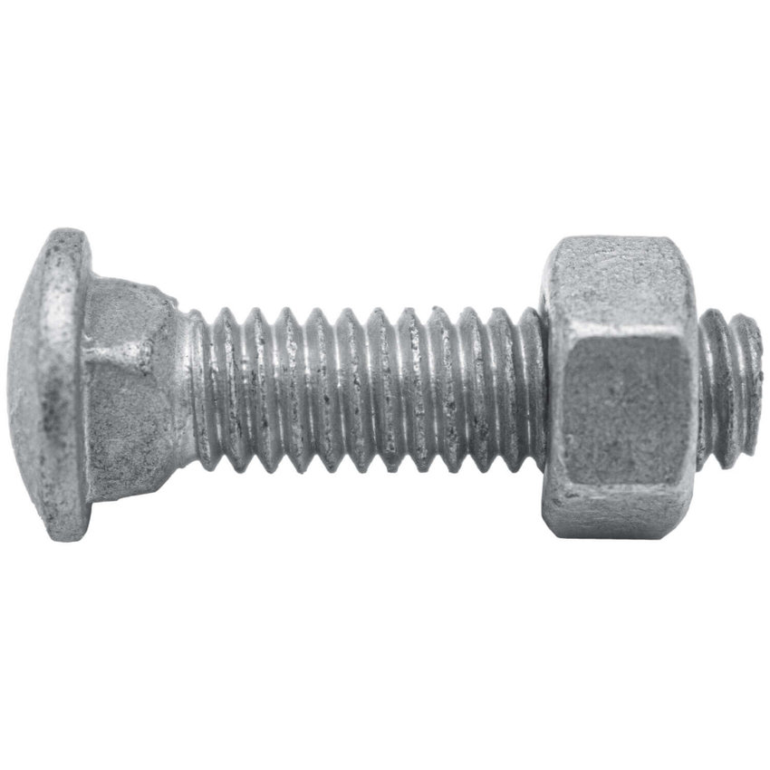 HOT DIP GALVANIZED CARRIAGE BOLT