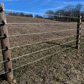 Cameo Horse Fence