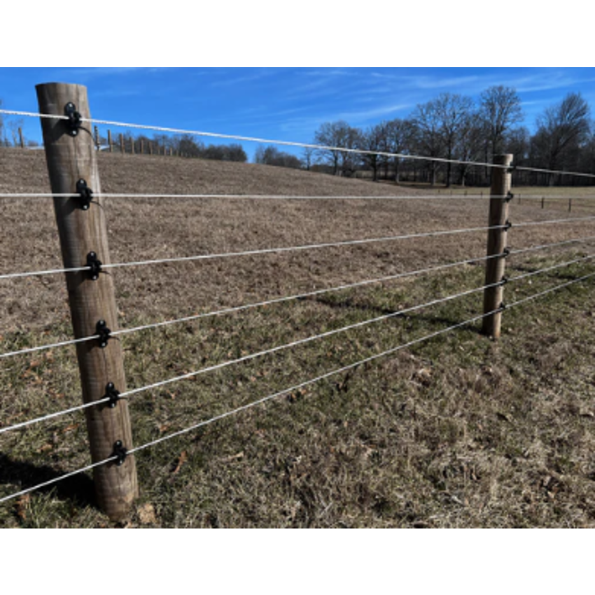 Cameo Horse Fence