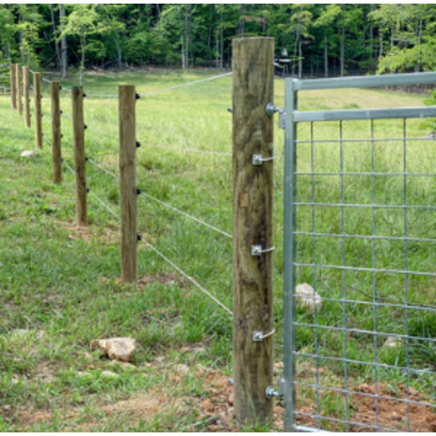 Cameo One Way Vise 5 per bag