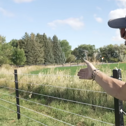 Cameo I Drive Horse Fence