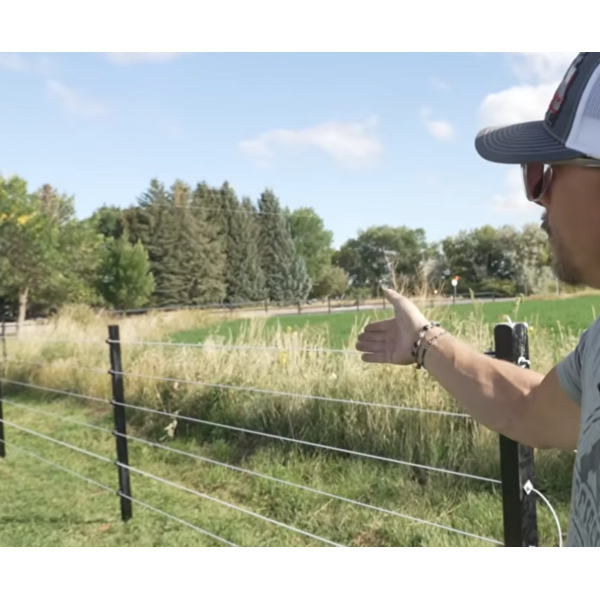 Cameo I Drive Horse Fence
