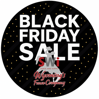 Black Friday Sale