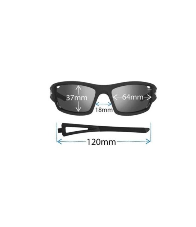 Tifosi Dolomite 2.0 Black/white Fototec Sunglasses