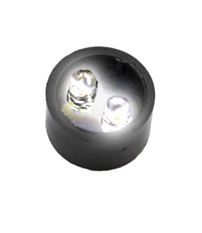 2 Led Module for VISI Lights