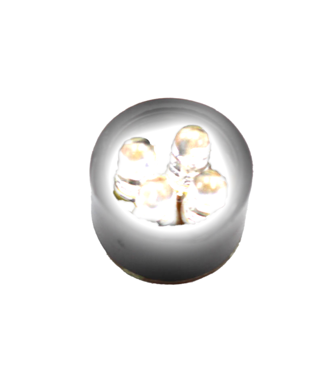 4 Led Module for VISI Lights