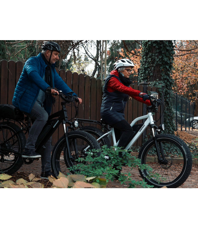 Himiway Cruiser Step Through Fat Tire Bike