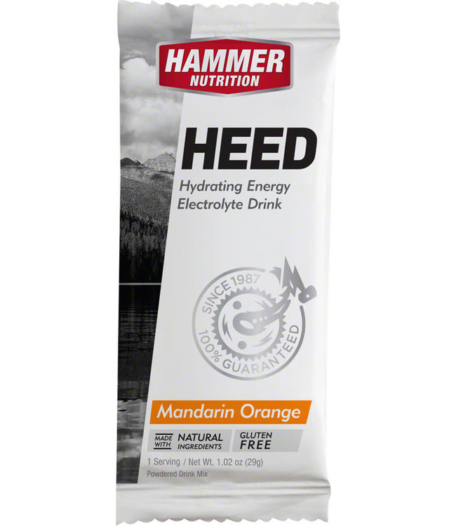 Hammer Nutrition HEED Sport Drink Mix - Single Serving