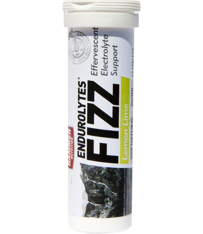 Hammer Endurolytes Fizz Hydration Tablets: 13 Servings