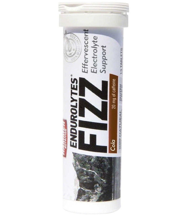 Hammer Endurolytes Fizz Hydration Tablets: 13 Servings
