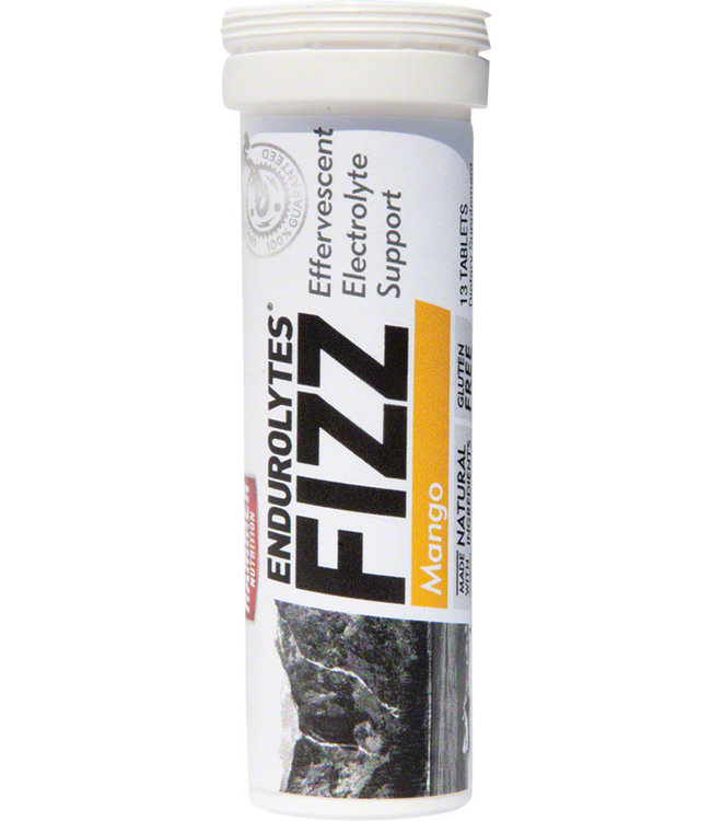 Hammer Endurolytes Fizz Hydration Tablets: 13 Servings