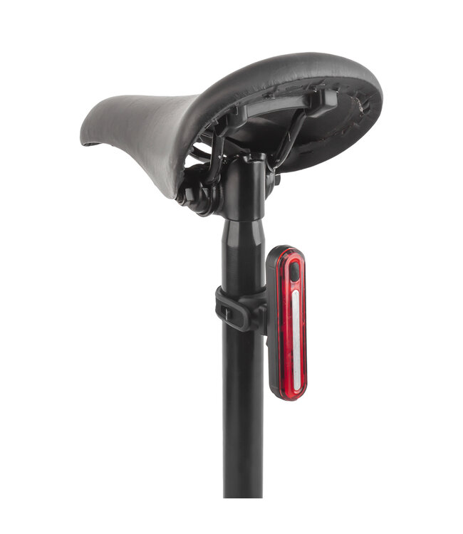 Sunlite LightRing USB Combo Light