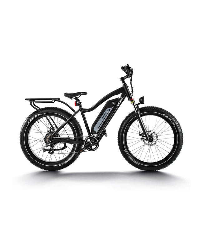 Himiway D3 Cruiser Long Range Fat Tire Electric Bike