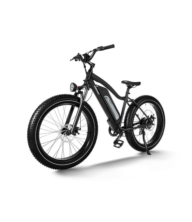 Himiway D3 Cruiser Long Range Fat Tire Electric Bike