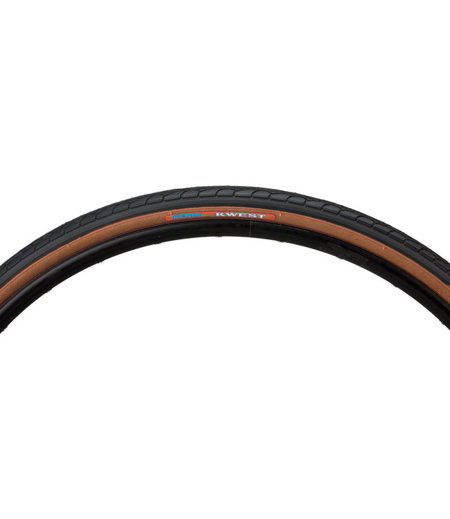 Kenda Kwest Tire - 26 x 1.25 Clincher Wire Black/Mocha