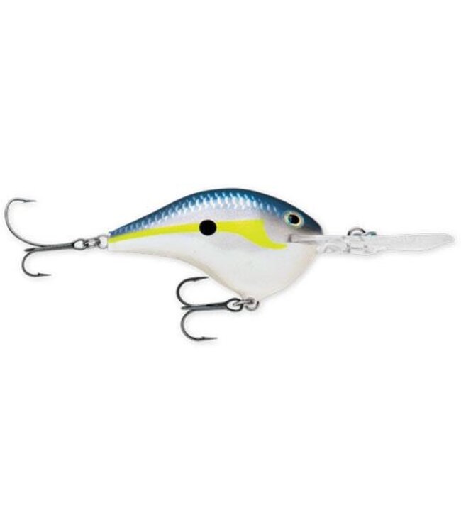 DT 6 Dives-To Series Crankbait