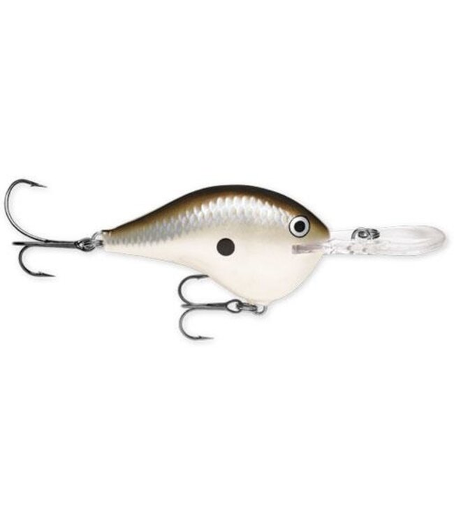 DT 6 Dives-To Series Crankbait