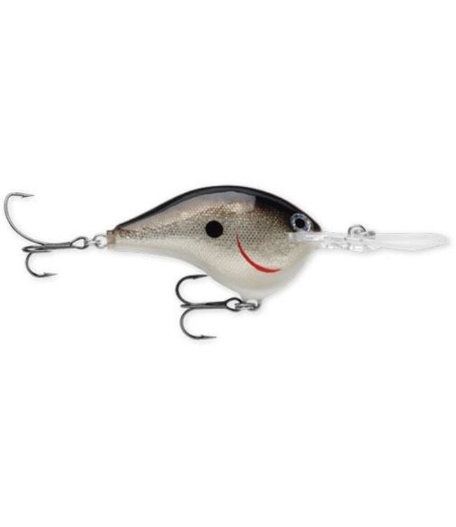 DT 6 Dives-To Series Crankbait
