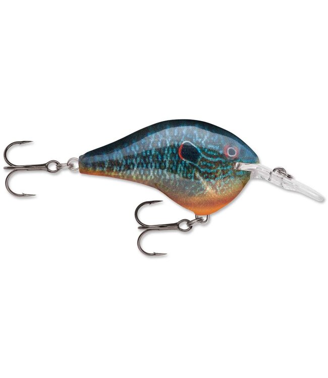 DT 6 Dives-To Series Crankbait