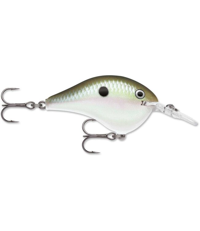 DT 6 Dives-To Series Crankbait