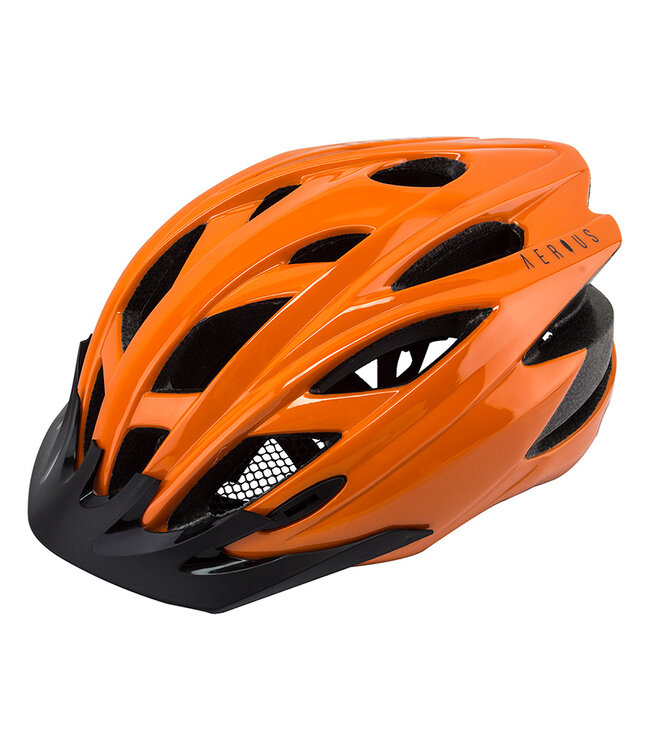 Aeirus Raven Bicycle Helmet