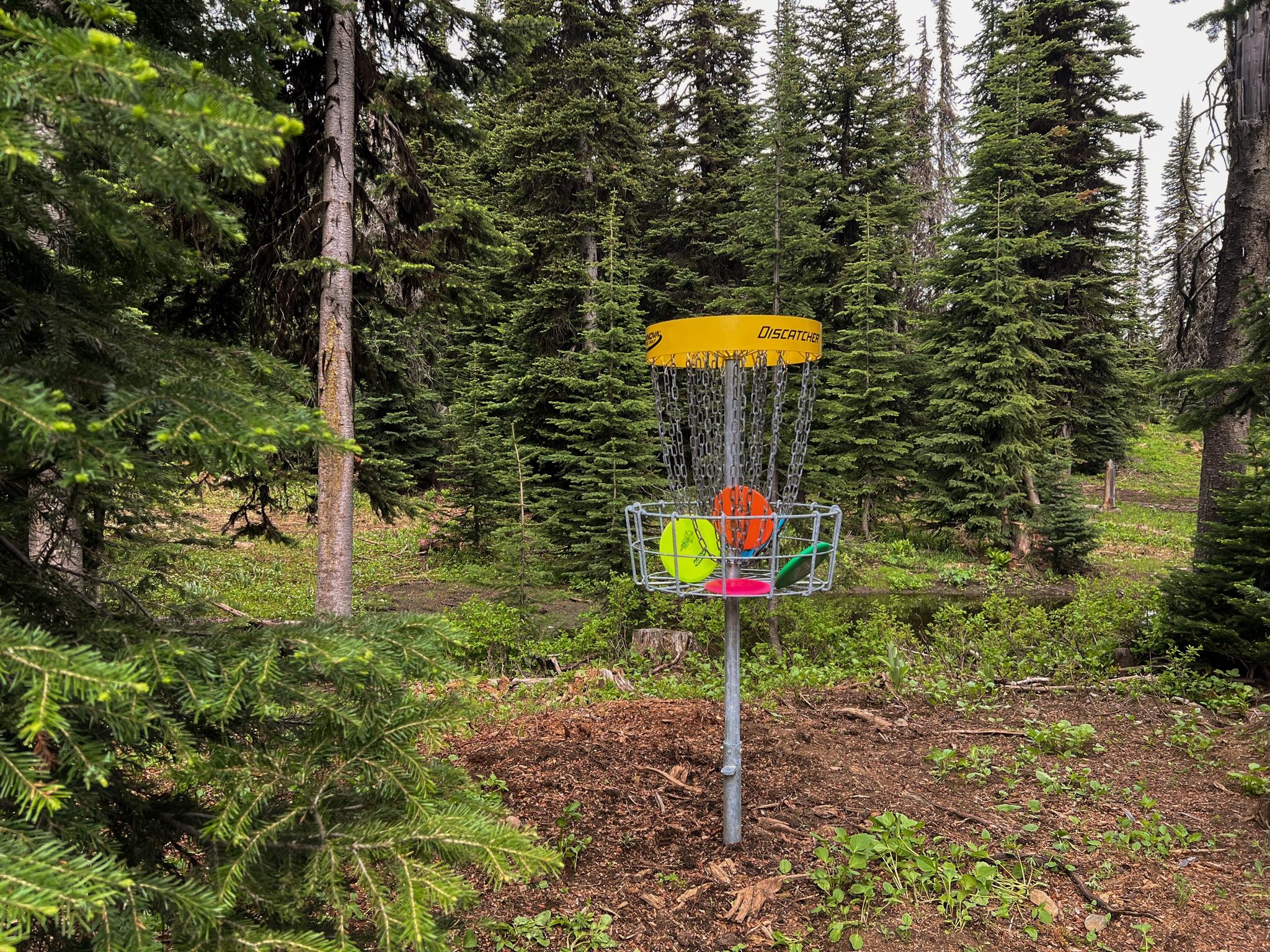 What you need to get started playing disc golf.
