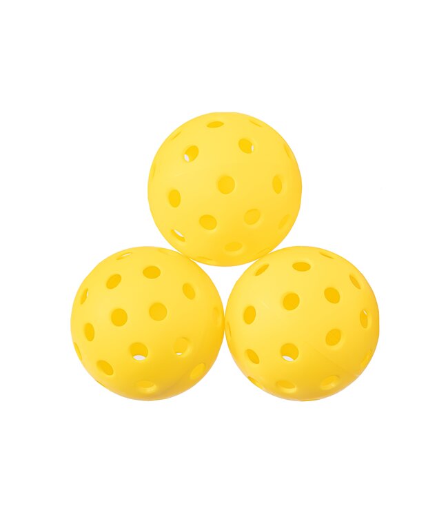 Selkirk Atlas Holderness Family Pickleball Bundle