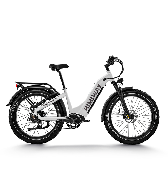 Himiway D5 Zebra Step-thru Premium All-terrain Electric Fat Bike Basic Version